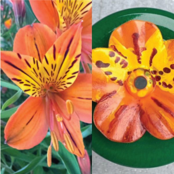 Alstroemeria Flower Bloom