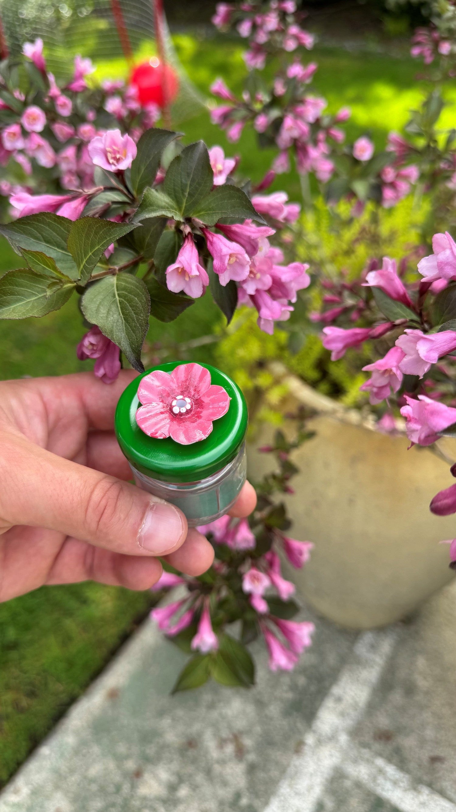 Collection No. 01 - Weigela Flower Bloom