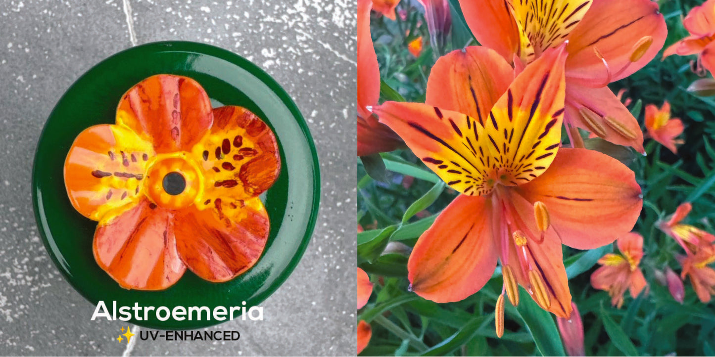 Alstroemeria Bloom Hand-Painted Handheld Hummingbird Feeder | UV-Enhanced Flower Design